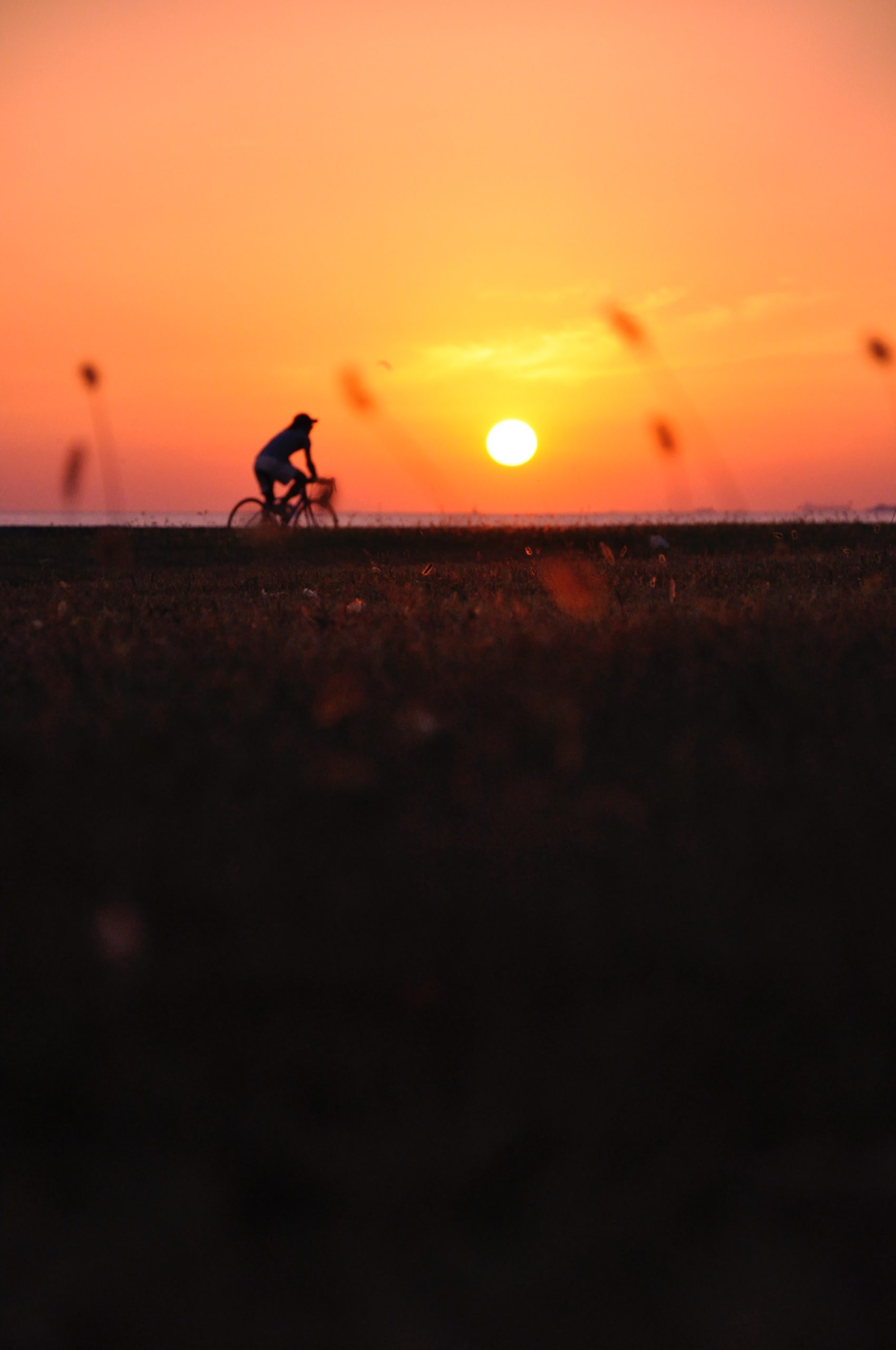 Cycliste sur la route au soleil couchant