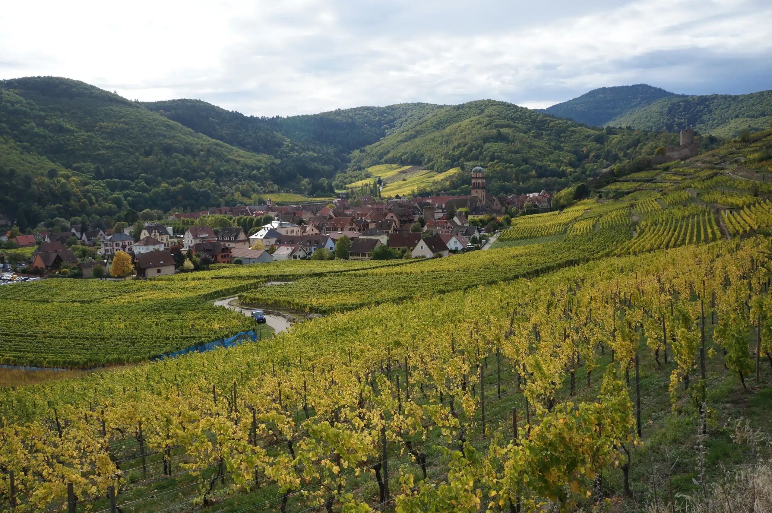 Paysages verdoyants et montagneux de la route d'Alsace